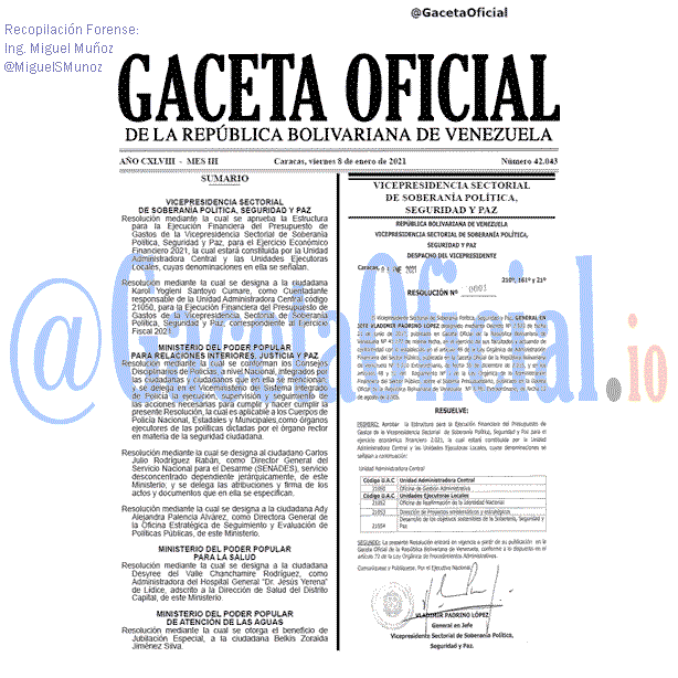 Gaceta Oficial 42043 del 8 Enero 2021
