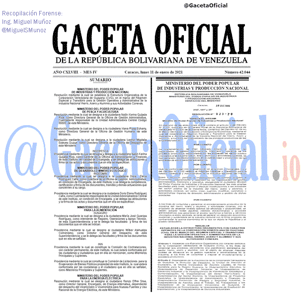 Gaceta Oficial de Venezuela #42044 del lunes 11 enero 2021 Gaceta Oficial 42044 del 11 Enero 2021