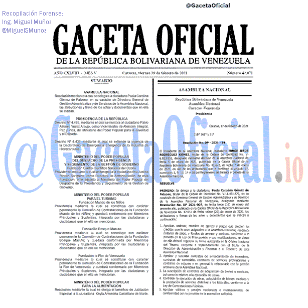 Gaceta Oficial 42071 del 19 febrero 2021
