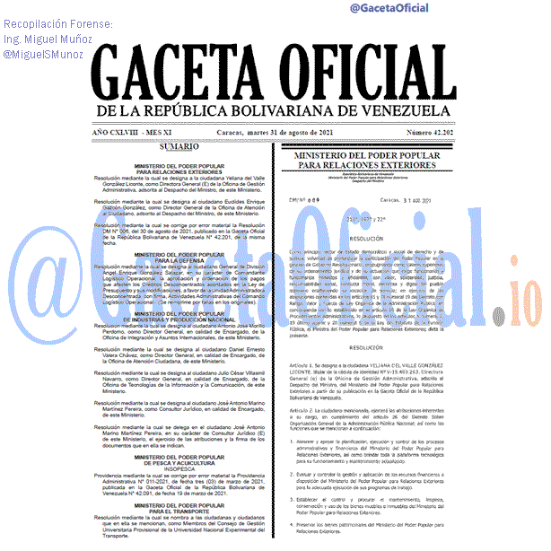 Gaceta Oficial 42202 del 31 agosto 2021