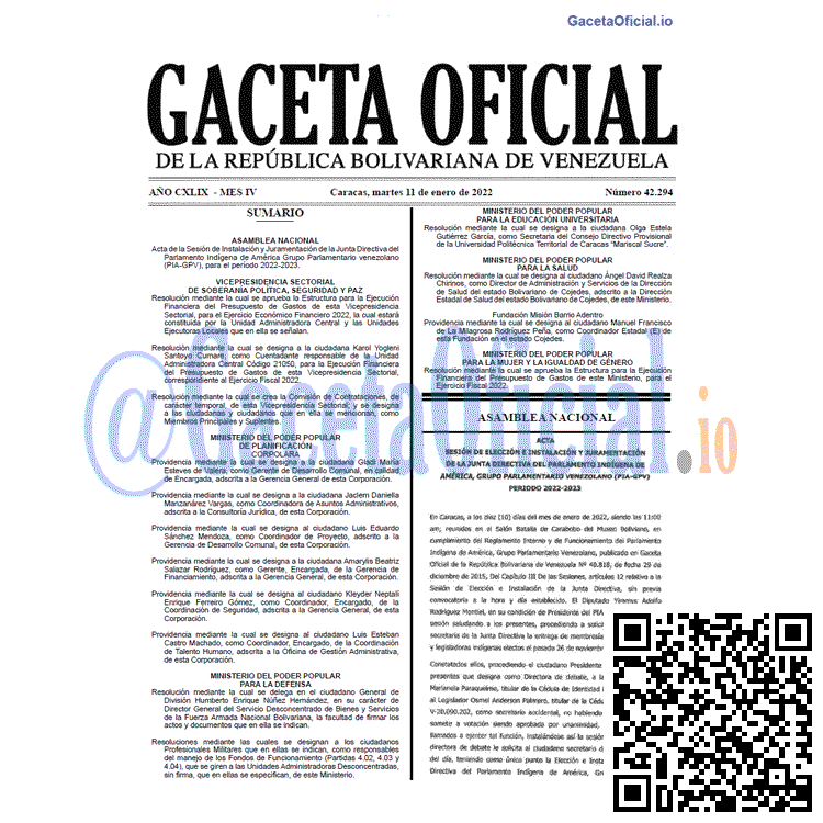 Gaceta Oficial 42294 del 11 enero 2022
